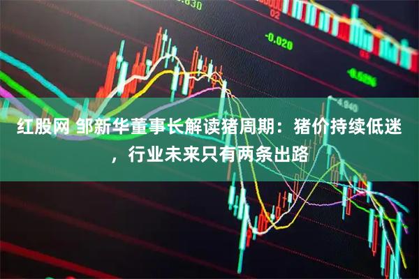 红股网 邹新华董事长解读猪周期：猪价持续低迷，行业未来只有两条出路